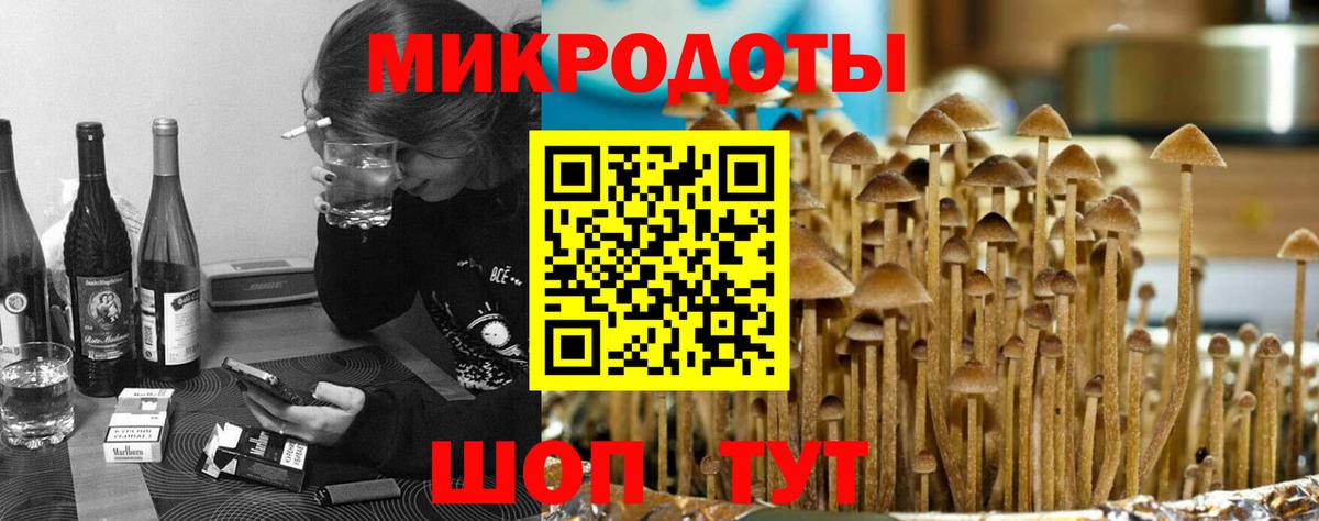 Черняховск  Псилоцибиновые грибы GOLDEN TEACHER  Вход с VPN 